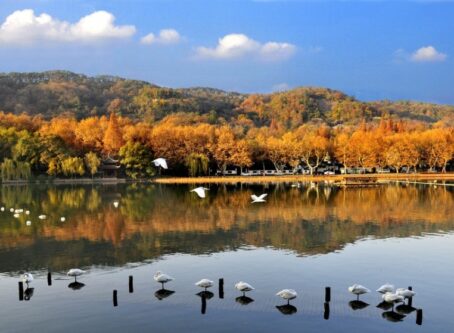 cong vien quoc gia dam lay tay khe